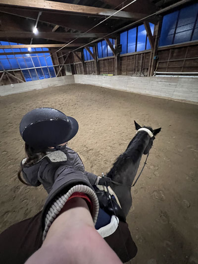 Großes Pferd mit Reiter in einer Halle Ansicht von oben